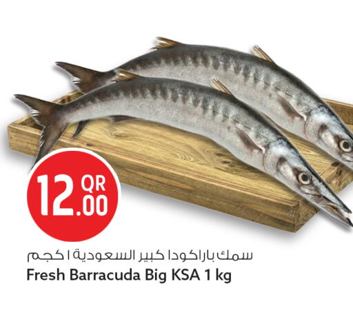 available at سفاري هايبر ماركت in قطر - الدوحة