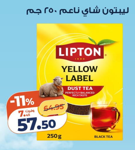 available at كازيون in Egypt - القاهرة