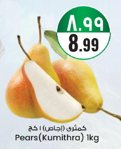 available at ستي فلاور in مملكة العربية السعودية, السعودية, سعودية - سكاكا
