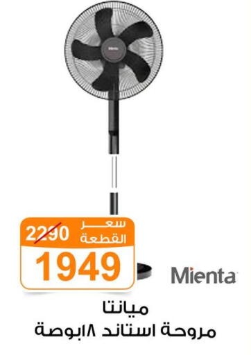 available at Gomla Market in Egypt - Cairo