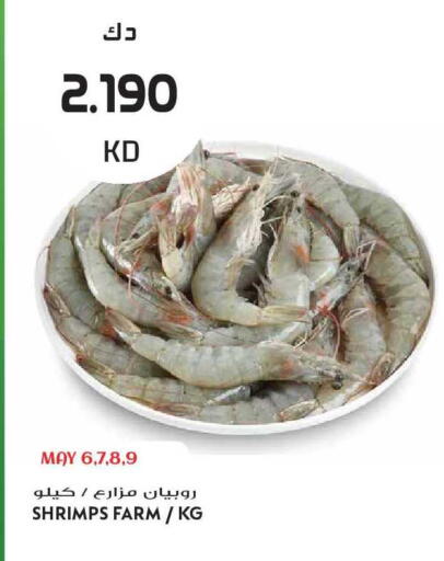 available at Grand Hyper in Kuwait - Ahmadi Governorate