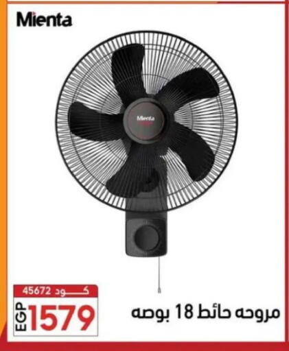 available at Center Elzelzal in Egypt - Cairo
