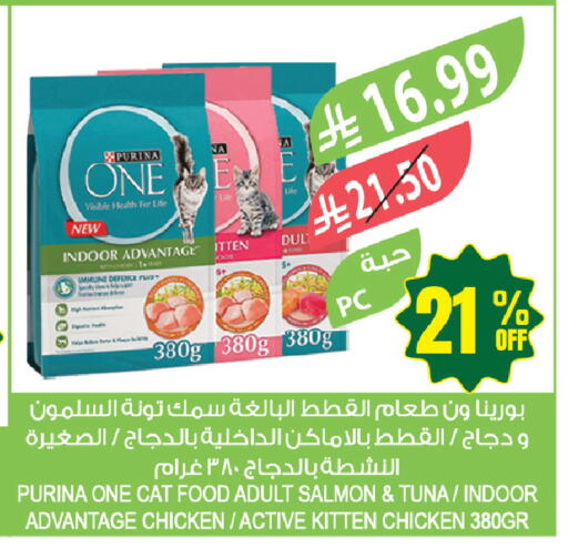 available at المزرعة in مملكة العربية السعودية, السعودية, سعودية - جازان