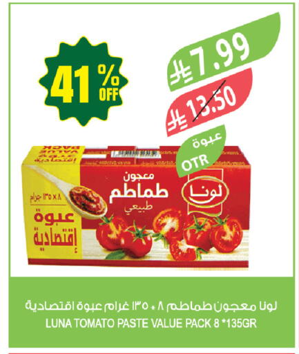 Tomato available at Farm  in KSA, Saudi Arabia, Saudi - Tabuk