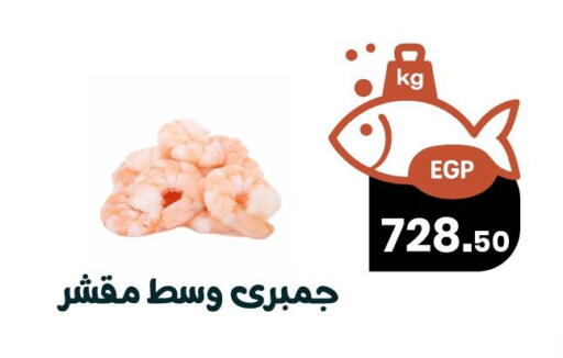 available at Arafa Market in Egypt - Cairo