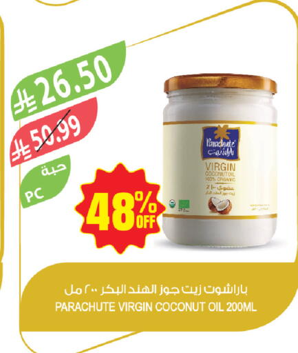 Coconut available at Farm  in KSA, Saudi Arabia, Saudi - Tabuk