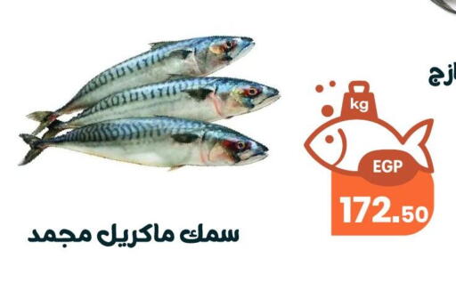 available at Arafa Market in Egypt - Cairo