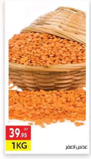available at المحلاوي ماركت in Egypt - القاهرة