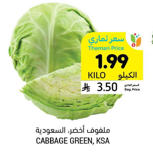 Cabbage available at Tamimi Market in KSA, Saudi Arabia, Saudi - Al Khobar