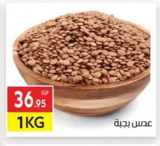 available at المحلاوي ماركت in Egypt - القاهرة