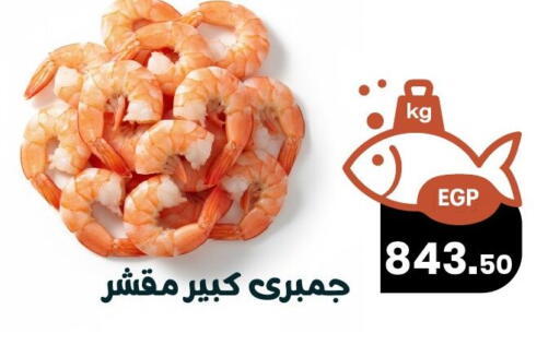 available at Arafa Market in Egypt - Cairo