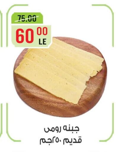 in Egypt - القاهرة
