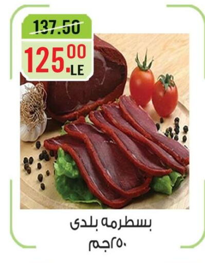 in Egypt - القاهرة