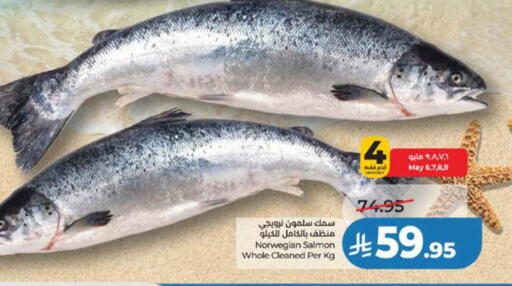 available at لولو هايبرماركت in مملكة العربية السعودية, السعودية, سعودية - تبوك