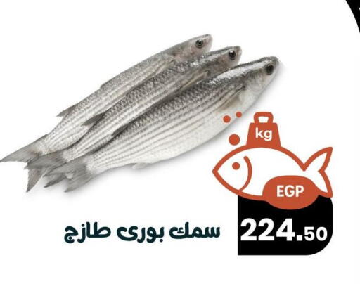 available at Arafa Market in Egypt - Cairo