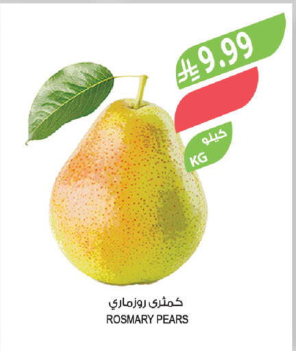 available at Farm  in KSA, Saudi Arabia, Saudi - Tabuk