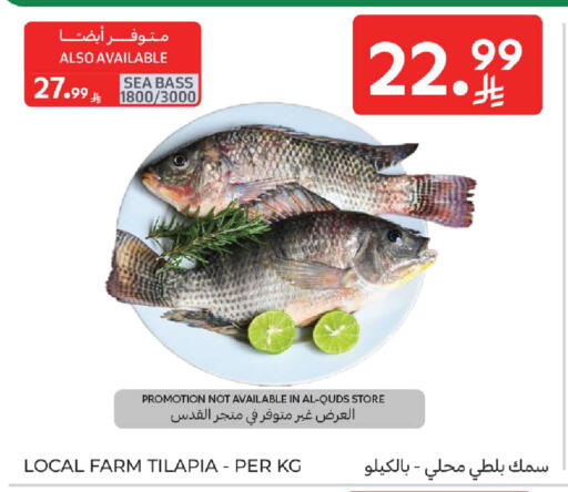 available at كارفور in مملكة العربية السعودية, السعودية, سعودية - الخبر‎
