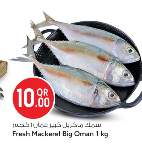 available at سفاري هايبر ماركت in قطر - الدوحة