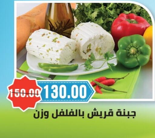 in Egypt - القاهرة