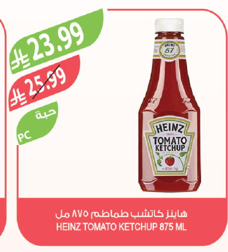Tomato available at Farm  in KSA, Saudi Arabia, Saudi - Al-Kharj