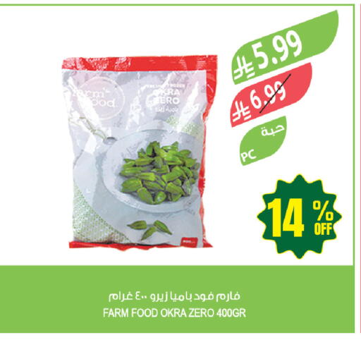Okra available at Farm  in KSA, Saudi Arabia, Saudi - Tabuk