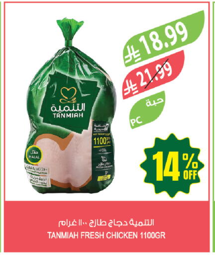 available at Farm  in KSA, Saudi Arabia, Saudi - Tabuk