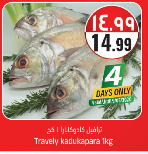 available at ستي فلاور in مملكة العربية السعودية, السعودية, سعودية - سكاكا