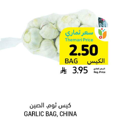 Garlic from China available at Tamimi Market in KSA, Saudi Arabia, Saudi - Tabuk