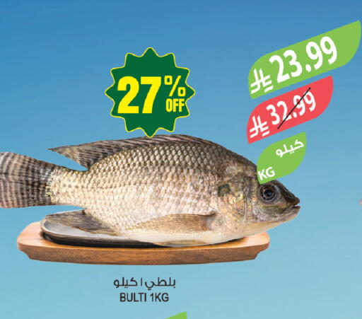 available at Farm  in KSA, Saudi Arabia, Saudi - Tabuk