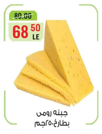in Egypt - القاهرة