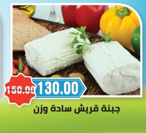 in Egypt - القاهرة