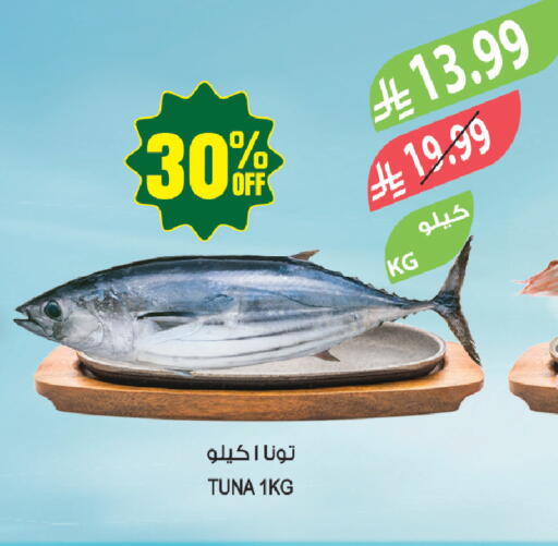 available at Farm  in KSA, Saudi Arabia, Saudi - Tabuk