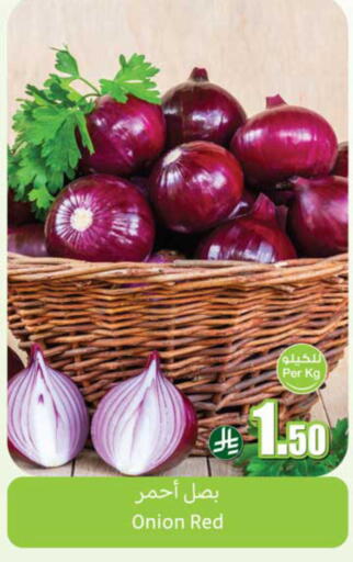 Onion available at Othaim Markets in KSA, Saudi Arabia, Saudi - Al Khobar