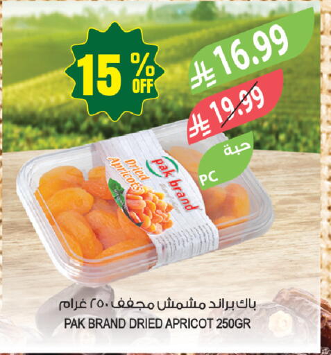 Apricot available at Farm  in KSA, Saudi Arabia, Saudi - Tabuk