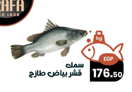 available at Arafa Market in Egypt - Cairo