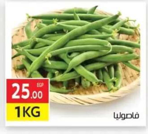 available at المحلاوي ماركت in Egypt - القاهرة