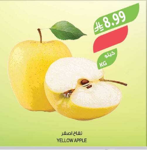 Apple available at Farm  in KSA, Saudi Arabia, Saudi - Tabuk