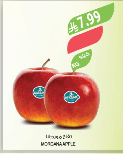 Apple available at Farm  in KSA, Saudi Arabia, Saudi - Tabuk