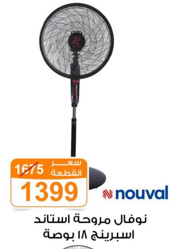available at Gomla Market in Egypt - Cairo