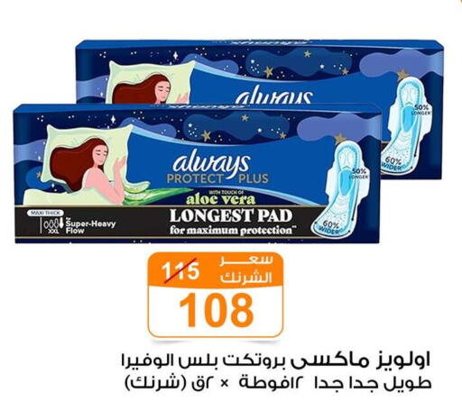 available at Gomla Market in Egypt - Cairo
