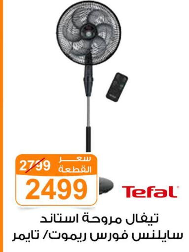 available at Gomla Market in Egypt - Cairo