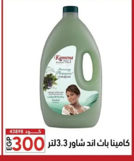 available at Center Elzelzal in Egypt - Cairo