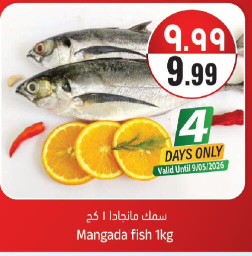 available at ستي فلاور in مملكة العربية السعودية, السعودية, سعودية - سكاكا