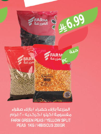 Peas available at Farm  in KSA, Saudi Arabia, Saudi - Tabuk