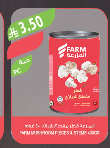 Mushroom available at Farm  in KSA, Saudi Arabia, Saudi - Tabuk
