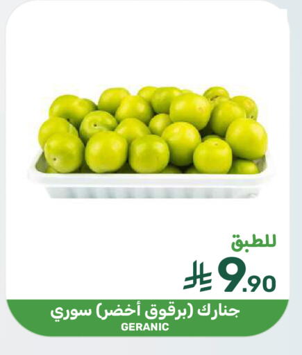 available at  مـزايــا in مملكة العربية السعودية, السعودية, سعودية - المنطقة الشرقية