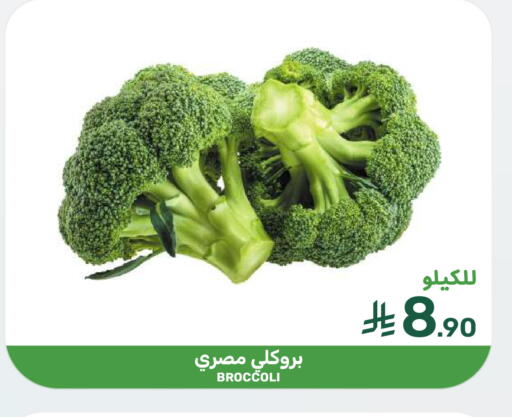Broccoli available at  مـزايــا in مملكة العربية السعودية, السعودية, سعودية - المنطقة الشرقية