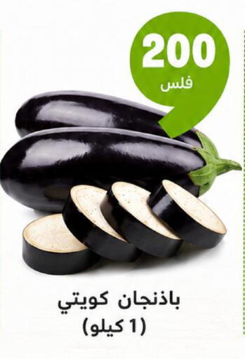 available at توصيل  in الكويت - مدينة الكويت
