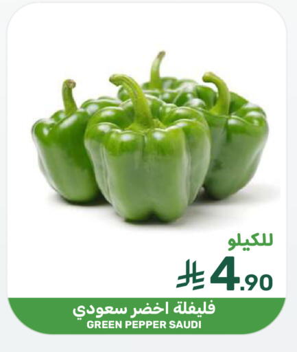 Pepper from Saudi Arabia available at  مـزايــا in مملكة العربية السعودية, السعودية, سعودية - المنطقة الشرقية