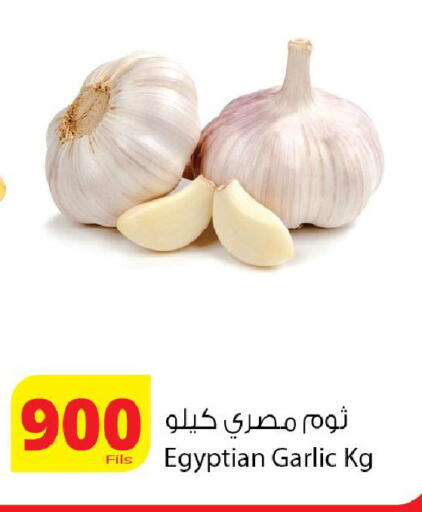 Garlic from Egypt available at Agricultural Food Products Co. in Kuwait - Kuwait City